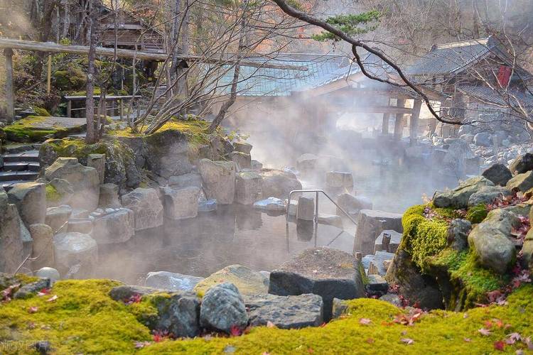 武汉保健服务：传统与现代融合，中医按摩与温泉养生效果显著
